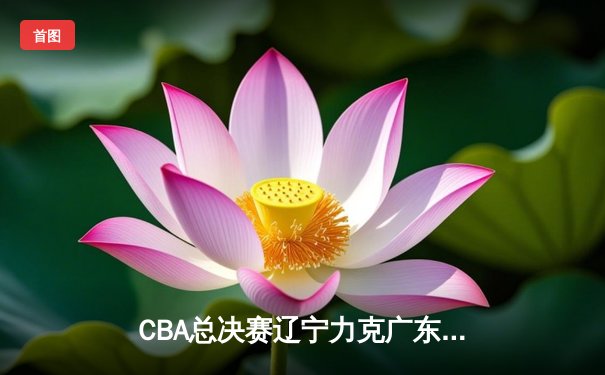 CBA总决赛辽宁力克广东成功卫冕，赵继伟荣膺FMVP