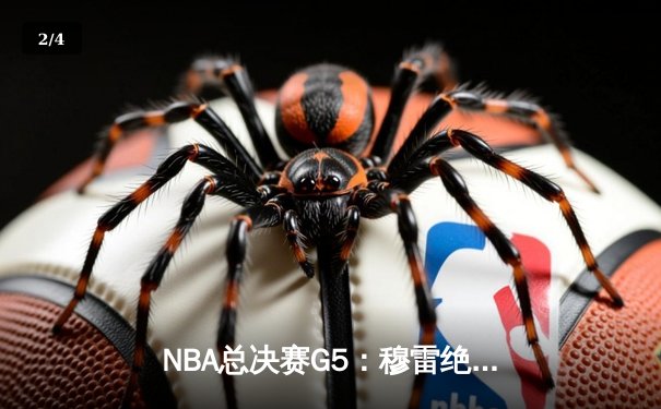 NBA总决赛G5：穆雷绝杀助掘金逆转凯尔特人，约基奇三双统治加时赛 - 2